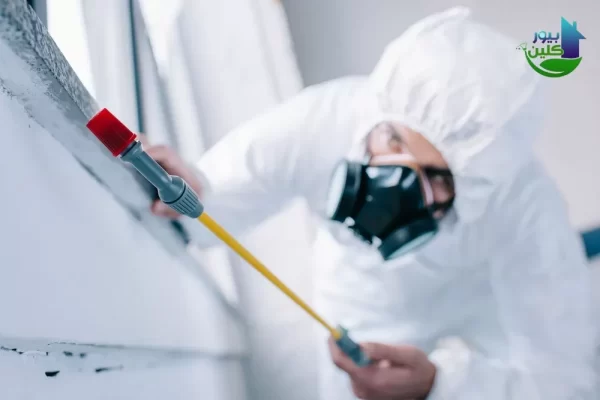 شركة مكافحة حشرات في كلباء - أساليب حديثة ومبيدات آمنة للأطفال ارخص شركة مكافحة حشرات في دبا الفجيرة
