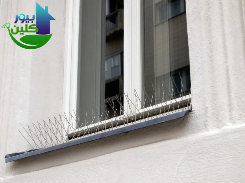 مكافحة الحمام والطيور - توريد وتركيب الاشواك مع الكفالة