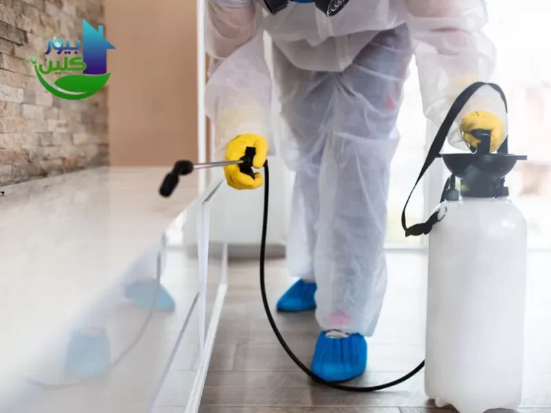 افضل شركة مكافحة الحشرات - ابادة الرمة والفئران والزواحف