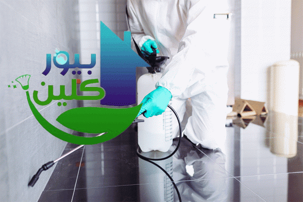 أسماء شركات مكافحة الحشرات في دبي