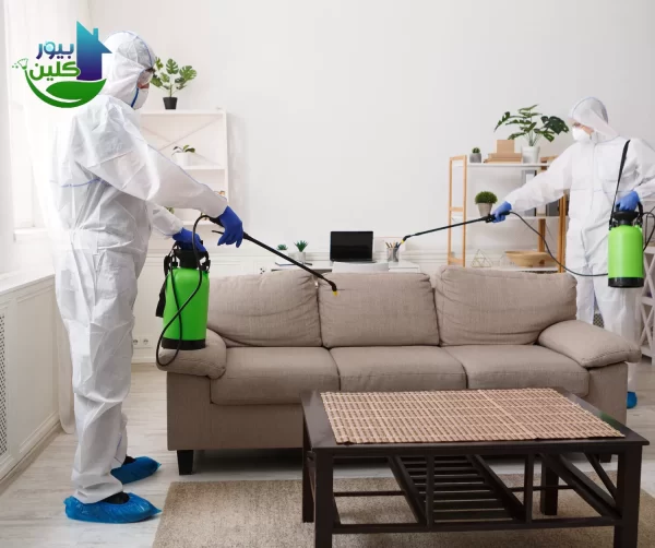 ما هي اضرار عدم التخلص من الحشرات المنزلية