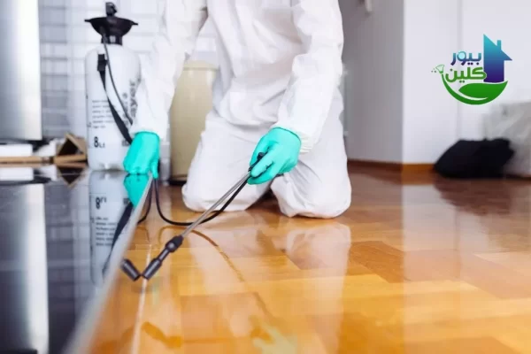 مزايا شركات رش الحشرات