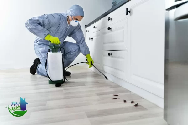 طرق مكافحة الحشرات التي تتبعها شركة بيور كلين