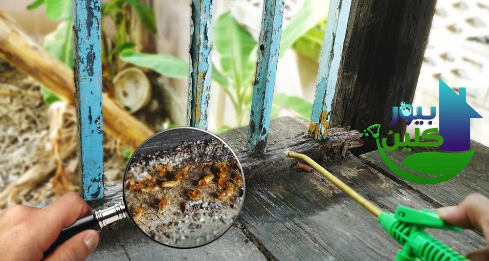 شركة مكافحة الرمه في الذيد