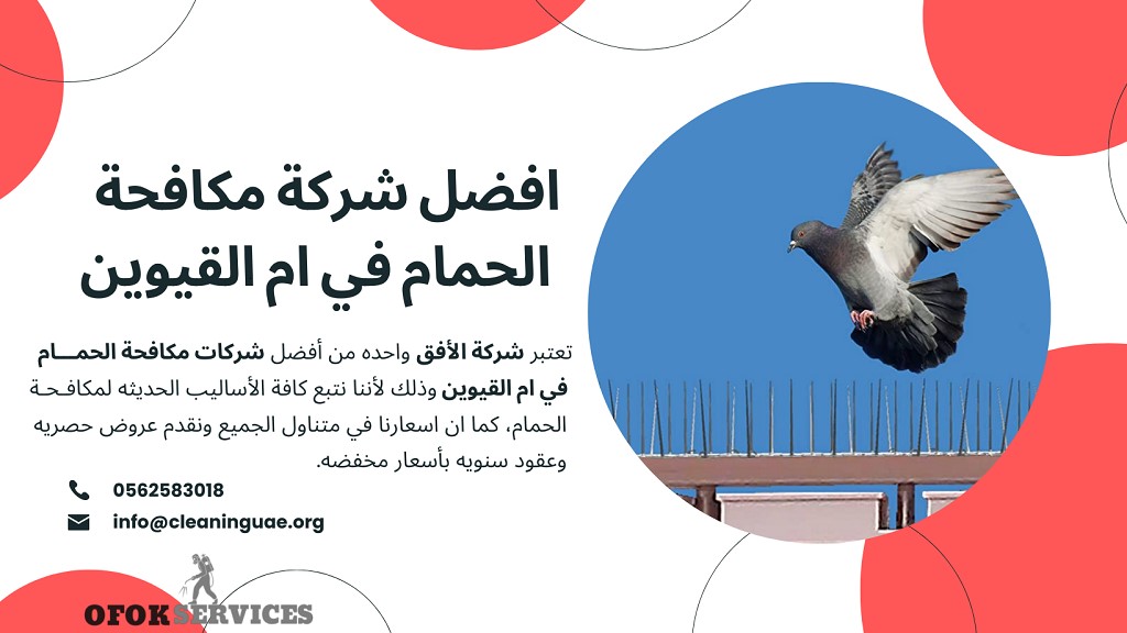 شركة مكافحة الحمام في ام القيوين | 0562583018 |خدمة 24 ساعة