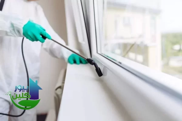 نصائح شركة مكافحة حشرات في مصفح