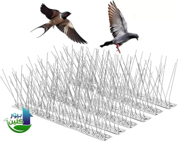 شركات مكافحة الحمام في العين 