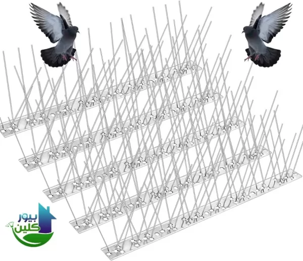 شركة مكافحة الحمام في الذيد