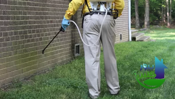 ما هي نصائح شركة بيور كلين لعملائها في دبا الفجيرة؟