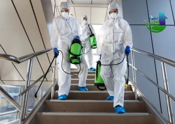 أفضل شركة تعقيم منازل ام القيوين