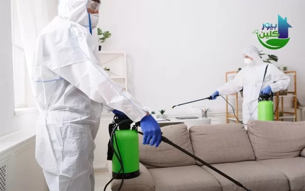 شركة مكافحة الرمة في رأس الخيمة