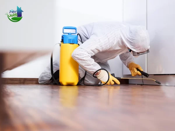 خدمات شركة رش مبيدات قاتل الحشرات