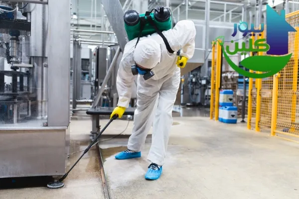 شركة مكافحة الحشرات