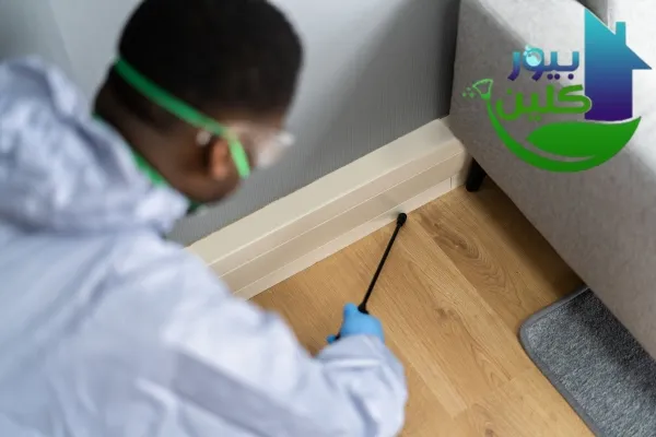 شركة مكافحة الحشرات