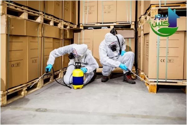 شركة مكافحة الحشرات في الشارقة