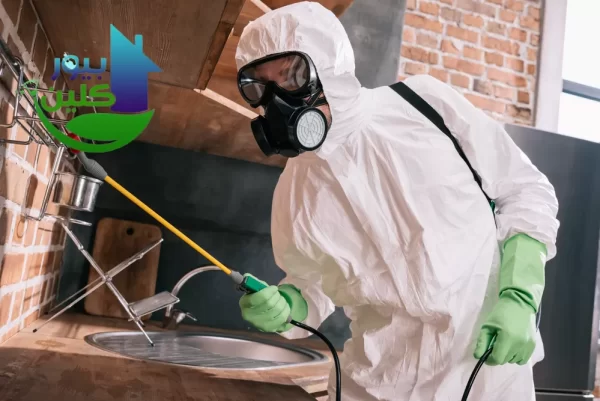شركة مكافحة الحشرات في الفجيرة – رقم 1 المبيدات الحشرية