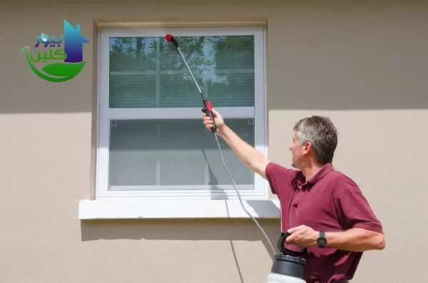 شركة مكافحة الحشرات في عجمان