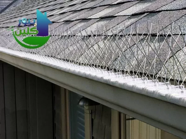 افضل شركات مكافحة الحمام في ابو ظبي