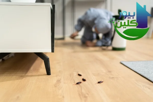 شركة مكافحة الرمة في مصفوت