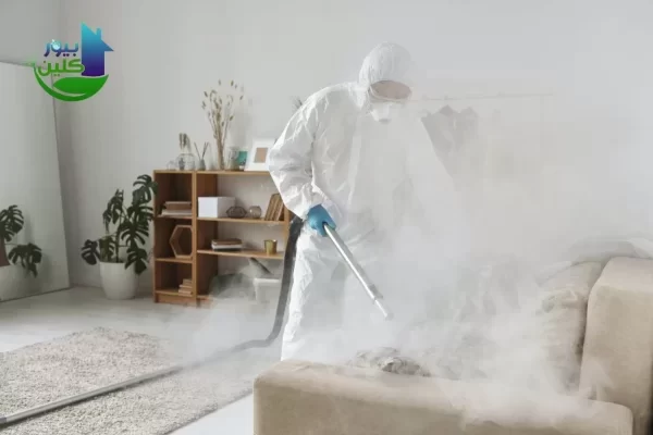 أرخص شركة مكافحة حشرات في ام سقيم