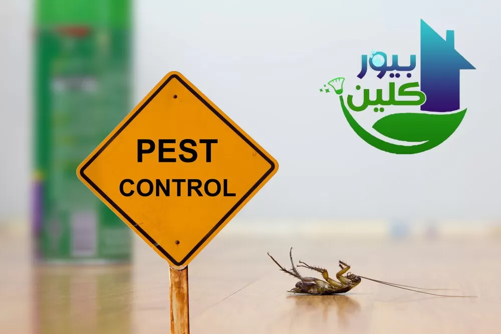 شركة مكافحة حشرات في خورفكان