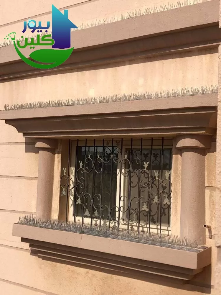 كيف تستخدم الشركة تقنيات طرد الحمام؟