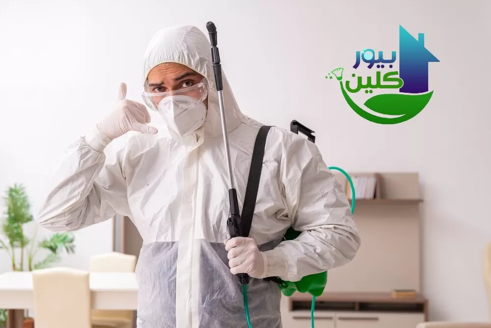 ما هي الأسباب التي تؤدي إلى ظهور الحشرات في المنزل؟