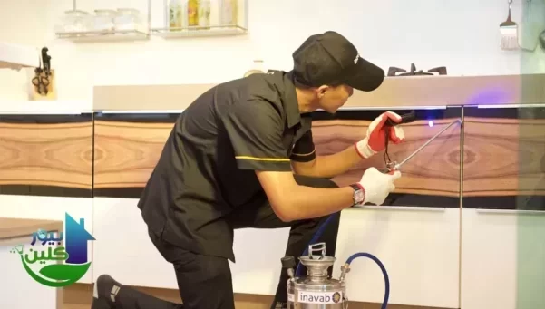 مكافحة الحشرات في ابو ظبي - خدمة 24 ساع3