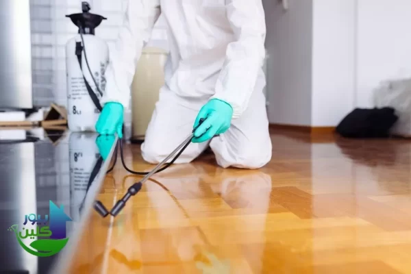 اهم طرق الوقاية مكافحة الحشرات والرمة في ابو ظبي