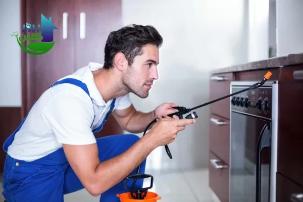 مكافحة الحشرات في رأس الخيمة – رقم 1 مكافحة الرمة