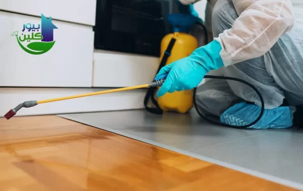 شركة مكافحة الصراصير في رأس الخيمة