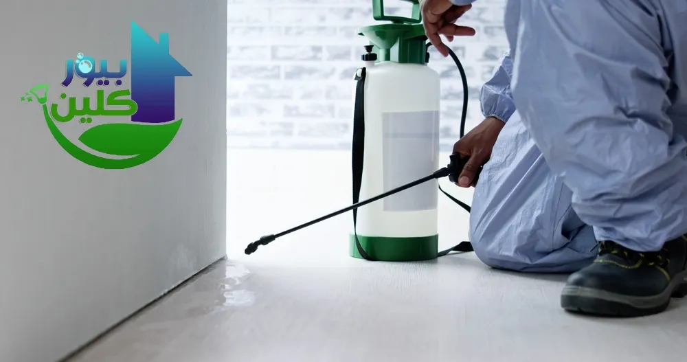 شركة رش حشرات في كلباء