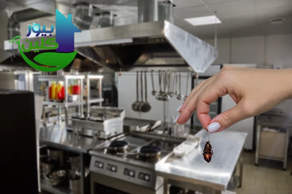 شركة مكافحة حشرات في مصفوت